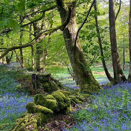 Eller House - Private Regency &