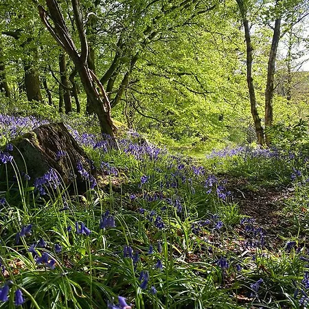 Prázdninový dům Eller House - Private Regency &