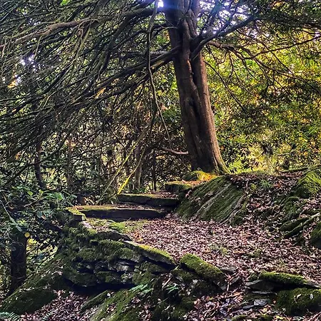 Eller House - Private Regency & Prázdninový dům *