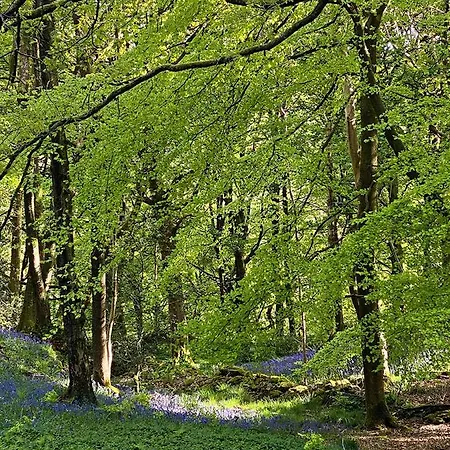 Eller House - Private Regency & Prázdninový dům