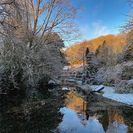 Eller House - Private Regency & Lindale